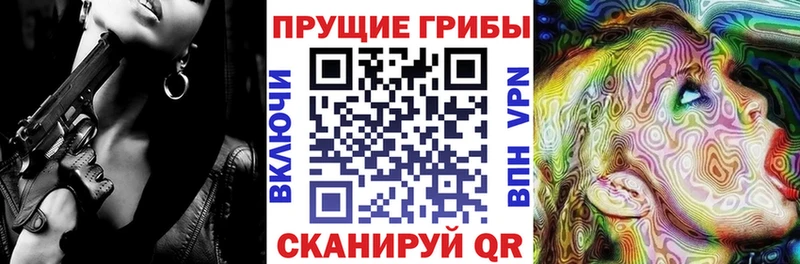 Купить закладки Мурино Галлюциногенные грибы ЛСД